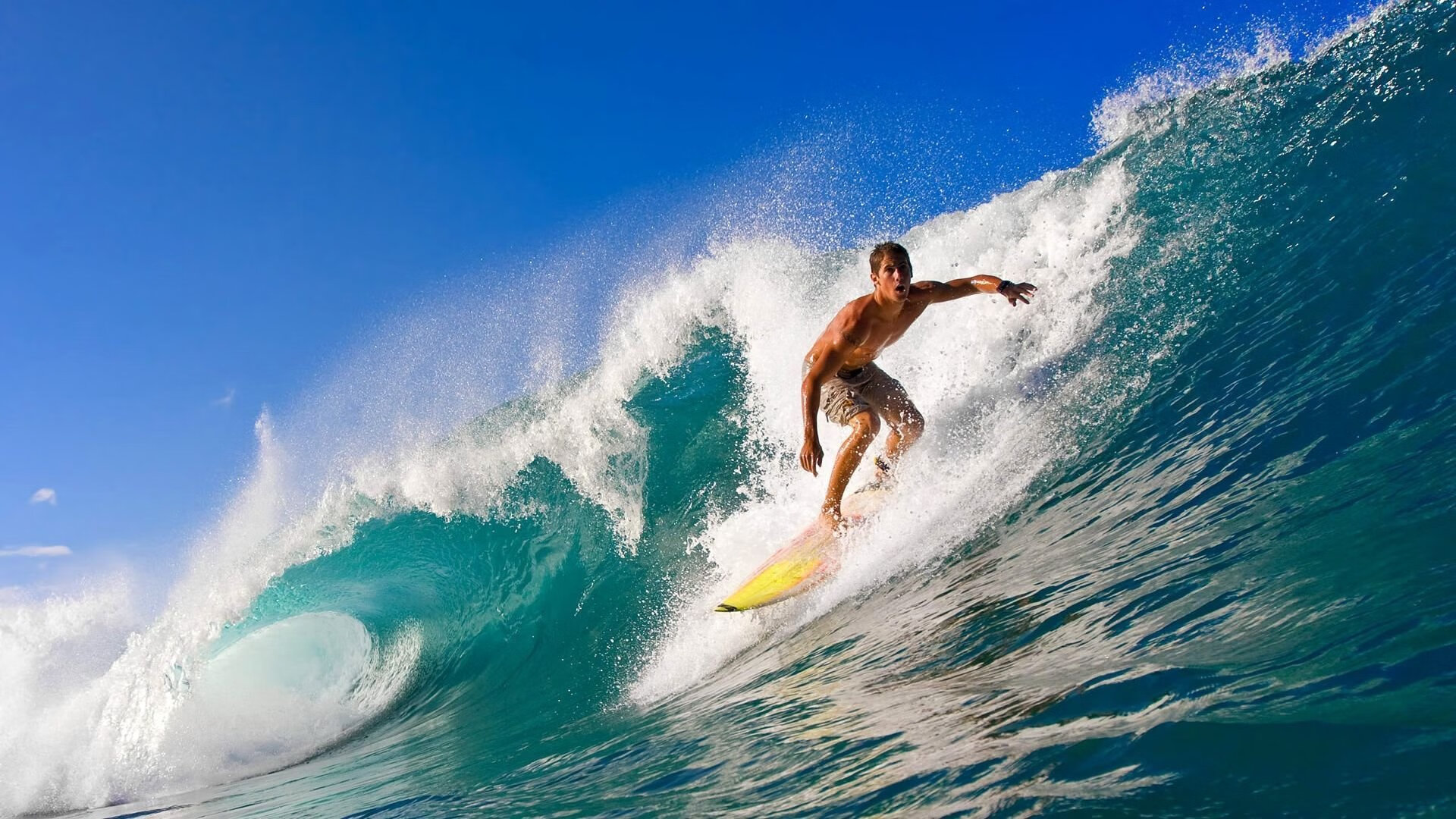 詹姆斯新星战术调整表现惊艳，公牛未来可期！